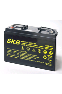 Batterie SKB SK12-120S(F11) a ricombinazione in tecnologia Agm 