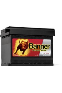 Batterie Banner Power Bull P6219
