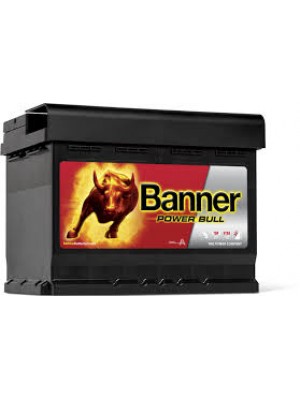 Batterie Banner Power Bull P6219