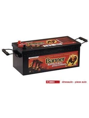 Batterie Banner Buffalo Bull SHDPRO64503