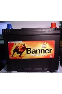 Batterie Banner Power Bull P7029