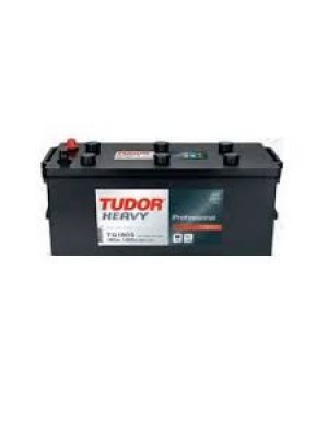 Batteria autocarro avviamento Tudor TG1403