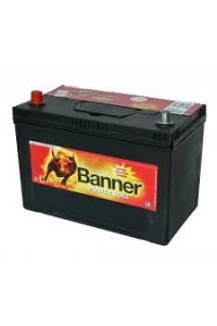 Batterie Banner Power Bull P9505