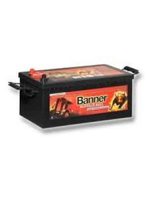 Batterie Banner Buffalo Bull SHDPRO72503