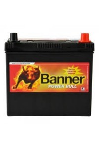 Batterie Banner Power Bull P4523