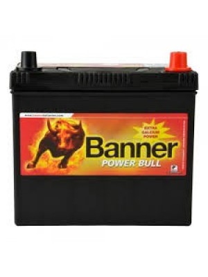 Batterie Banner Power Bull P4523