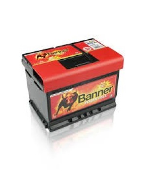 Batterie Banner Power Bull P6009