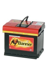 Batterie Banner Power Bull P4409
