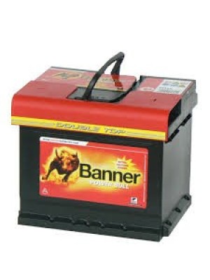 Batterie Banner Power Bull P4409