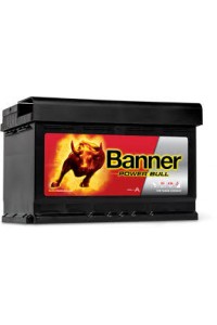 Batterie Banner Power Bull P7209