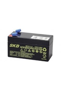 Batterie SKB SK12-1.3(F1) a ricombinazione in tecnologia Agm 