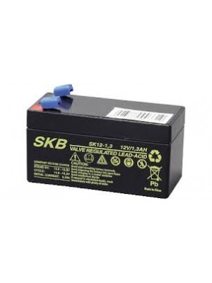 Batterie SKB SK12-1.3(F1) a ricombinazione in tecnologia Agm 