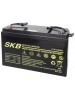 Batterie SKB SK12-100(F12) a ricombinazione in tecnologia Agm 