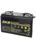 Batterie SKB SK12-100S(F11) a ricombinazione in tecnologia Agm 