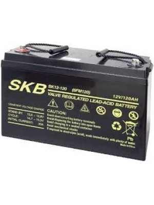 Battery  SKB SK12-120(F11) Agm