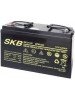 Batterie SKB SK12-120(F11) a ricombinazione in tecnologia Agm 