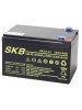 Batterie SKB SK12-14(F2) a ricombinazione in tecnologia Agm 