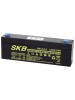 Batterie SKB SK12-2.3(F1) a ricombinazione in tecnologia Agm 