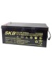Batterie SKB SK12-200(F12) a ricombinazione in tecnologia Agm 