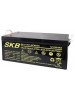 Batterie SKB SK12-250(F12) a ricombinazione in tecnologia Agm 