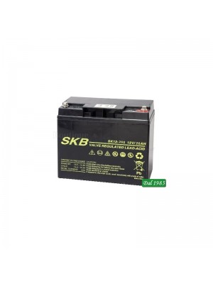 Batterie SKB SK12-26s(F13) a ricombinazione in tecnologia Agm 