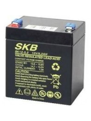 Batterie SKB SK12-5.2(F1) a ricombinazione in tecnologia Agm 