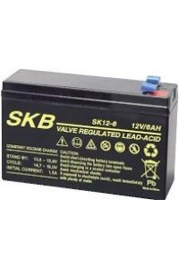 Batterie SKB SK12-6.0(F1-/F2) a ricombinazione in tecnologia Agm 