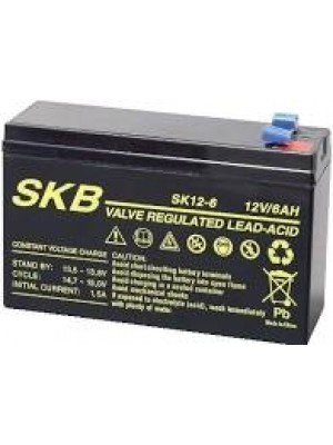 Batterie SKB SK12-6.0(F1-/F2) a ricombinazione in tecnologia Agm 