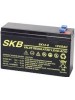 Batterie SKB SK12-6.0(F1-/F2) a ricombinazione in tecnologia Agm 