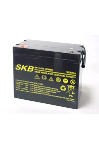 Batterie SKB SK12-65S(F11) a ricombinazione in tecnologia Agm 