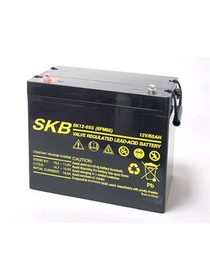 Batterie SKB SK12-65S(F11) a ricombinazione in tecnologia Agm 