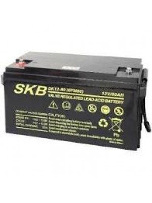 Batterie SKB SK12-80(F11) a ricombinazione in tecnologia Agm 