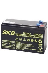 Batterie SKB SK12-9(F2) a ricombinazione in tecnologia Agm 