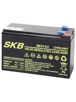 Batterie SKB SK12-9(F2) a ricombinazione in tecnologia Agm 