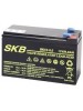 Batterie SKB SK12-9(F2) a ricombinazione in tecnologia Agm 