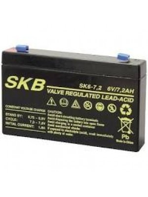 Batterie SKB SK6-1.3(F1) a ricombinazione in tecnologia Agm 