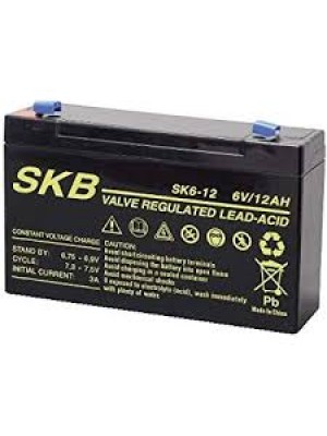 Batterie SKB SK6-12(F1) a ricombinazione in tecnologia Agm 